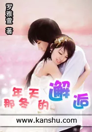 《那年冬天的邂逅》小说封面