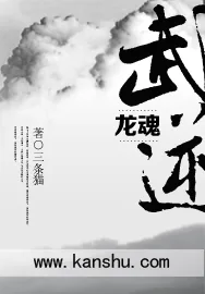 《武逆龙魂》小说封面