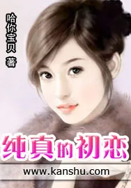 《纯真的初恋》小说封面