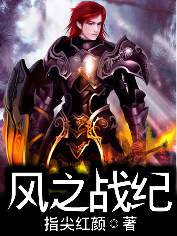 《风之战纪》小说封面