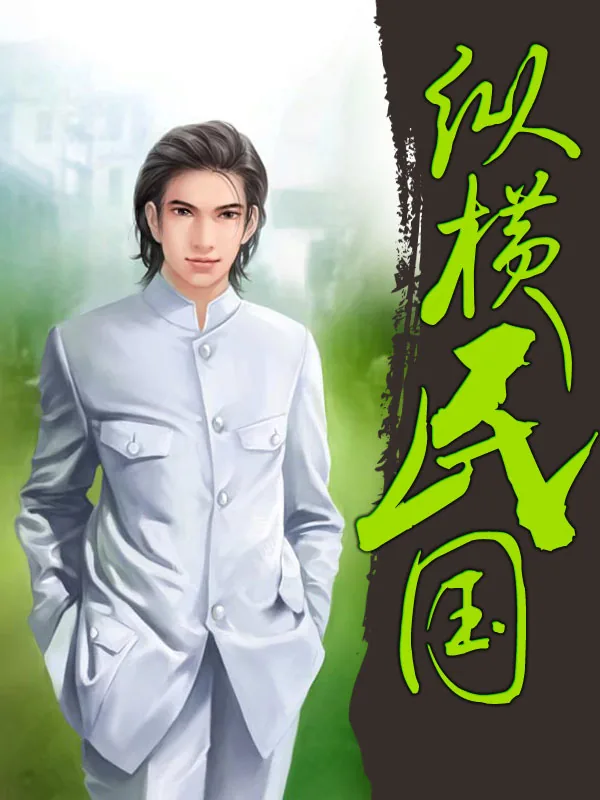 《纵横民国》小说封面