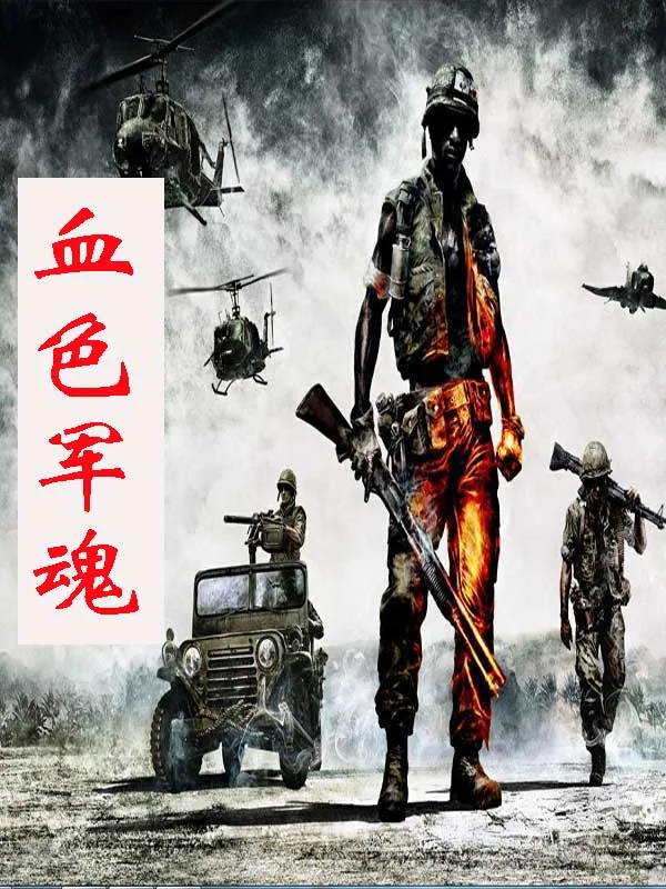 《血色军魂》小说封面