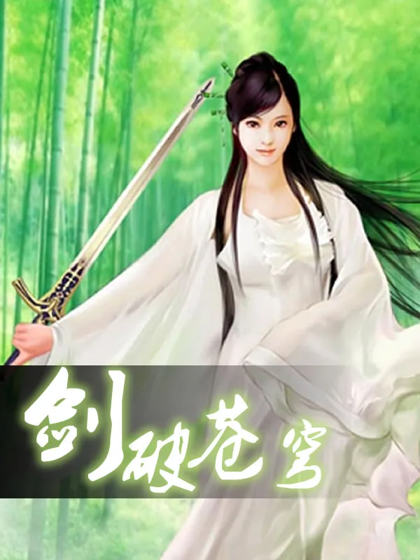 《剑破苍穹》小说封面