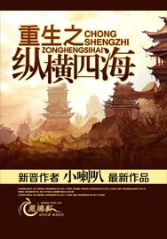 《重生之纵横四海》小说封面