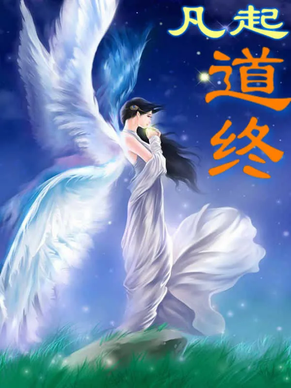《凡起道终》小说封面