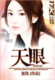 《天眼》小说封面