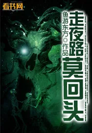 《走夜路莫回头》小说封面