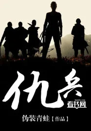 《仇兵》小说封面