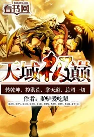 《天域极巅》小说封面