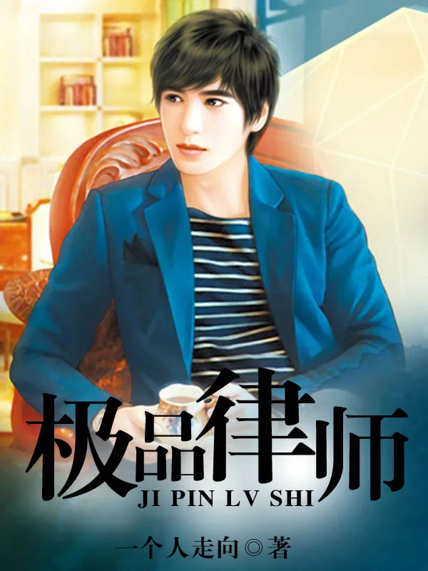 《极品律师》小说封面
