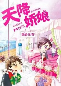 《天降娇娘》小说封面