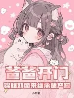 《爸爸开门！锦鲤奶团来继承遗产啦》小说封面