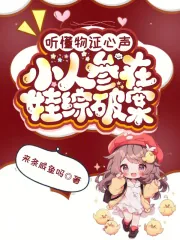 《听懂物证心声，小人参在娃综破案》小说封面