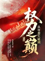 《从市委大秘到权力之巅》小说封面