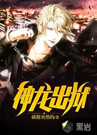 《神龙出狱》小说封面