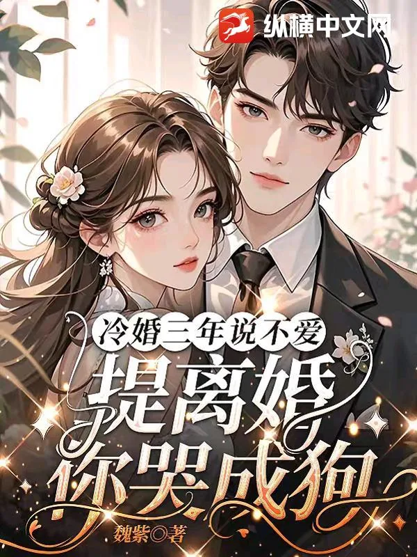 《冷婚三年说不爱，提离婚你哭成狗？》小说封面