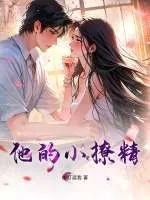 《他的小撩精》小说封面