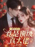 《二婚穷老公，竟是顶级真大佬》小说封面