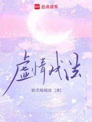《虚情戏法》小说封面