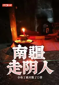 《南疆走阴人》小说封面