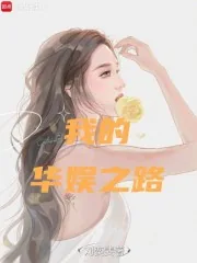《我的华娱之路》小说封面