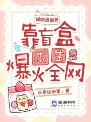 《糊咖退圈后，靠盲盒求生爆火全网》小说封面
