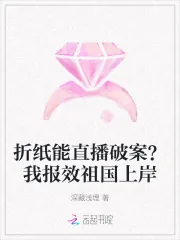 《折纸能直播破案？我报效祖国上岸》小说封面
