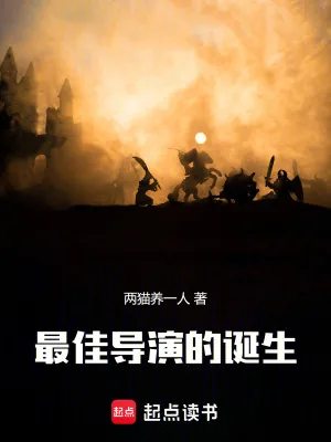 《最佳导演的诞生》小说封面