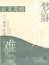 《梦寐难求》小说封面