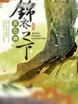 《锦衣之下》小说封面
