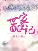 《世家再醮记》小说封面