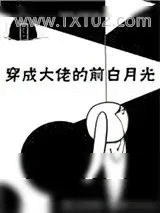 《穿成大佬的前白月光》小说封面