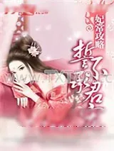 《妃常攻略：誓不承君宠》小说封面