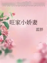 《旺家小娇妻》小说封面
