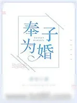 《奉子为婚》小说封面