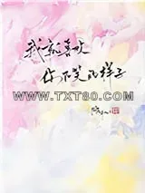 《我就喜欢你不笑的样子》小说封面