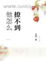 《他怎么撩不到》小说封面