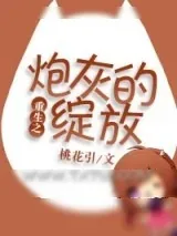 《重生之炮灰的绽放》小说封面