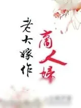 《老大嫁作商人妇》小说封面