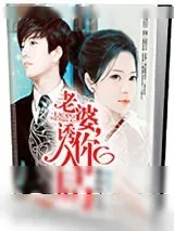 《老婆，诱你入局》小说封面