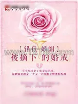 《错位婚姻：被摘下的婚戒》小说封面