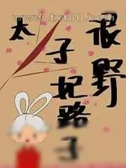 《太子妃路子很野》小说封面