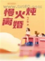 《慢火炖离婚》小说封面