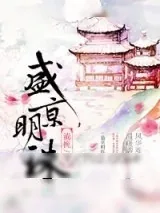 《盛京明珠》小说封面