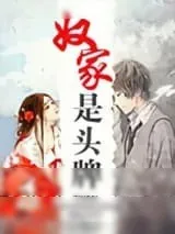 《奴家是头牌》小说封面
