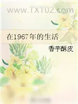 《在1967年的生活》小说封面