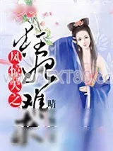 《凤惊天之狂妃难求》小说封面