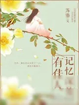 《记忆深处有佳人》小说封面
