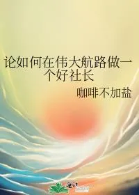 《论如何在伟大航路做一个好社长》小说封面