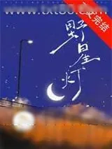 《野星灯》小说封面